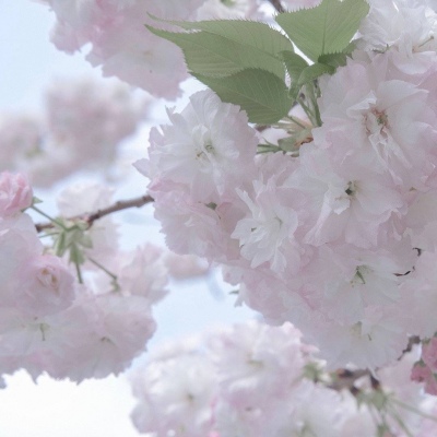 上杭FurryQQ群介绍